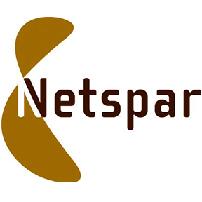 Netspar logo